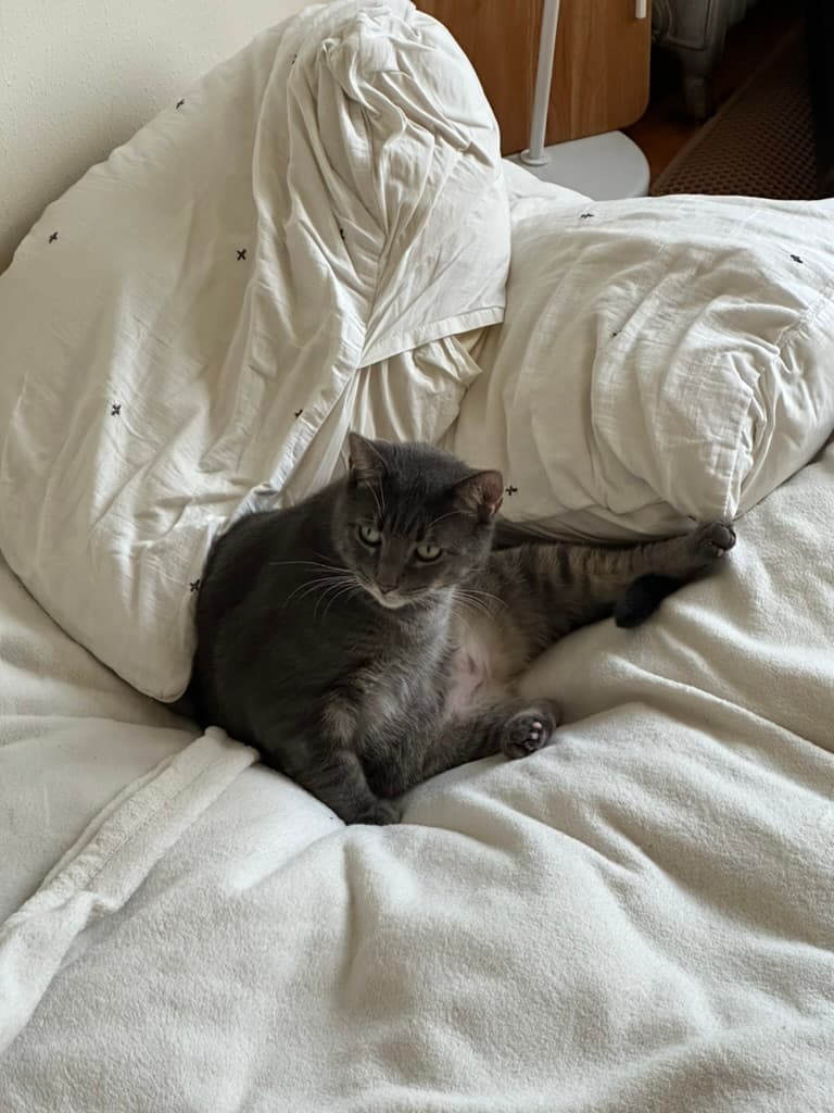 Moving out of Boston, Rouglass enjoyed flat airbeds