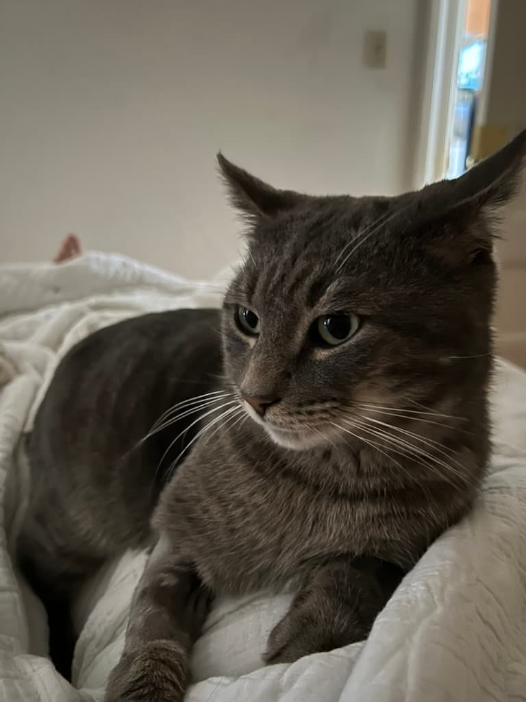 Rouglass would be on your chest first thing most mornings