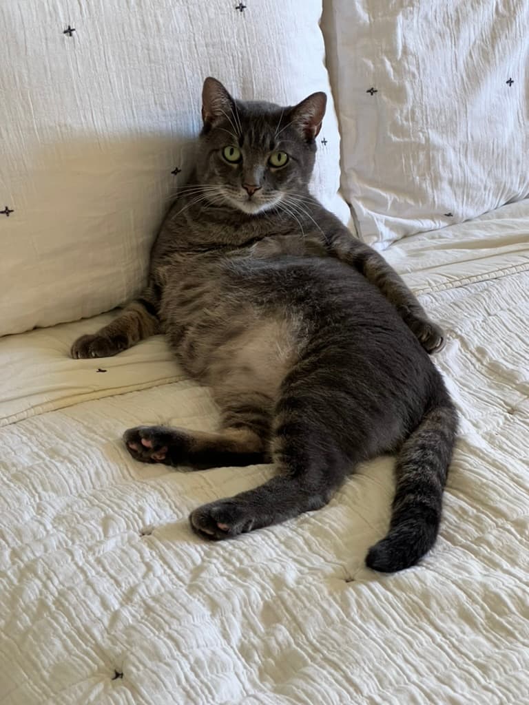 Rouglass did not care to keep his limbs in normal positions