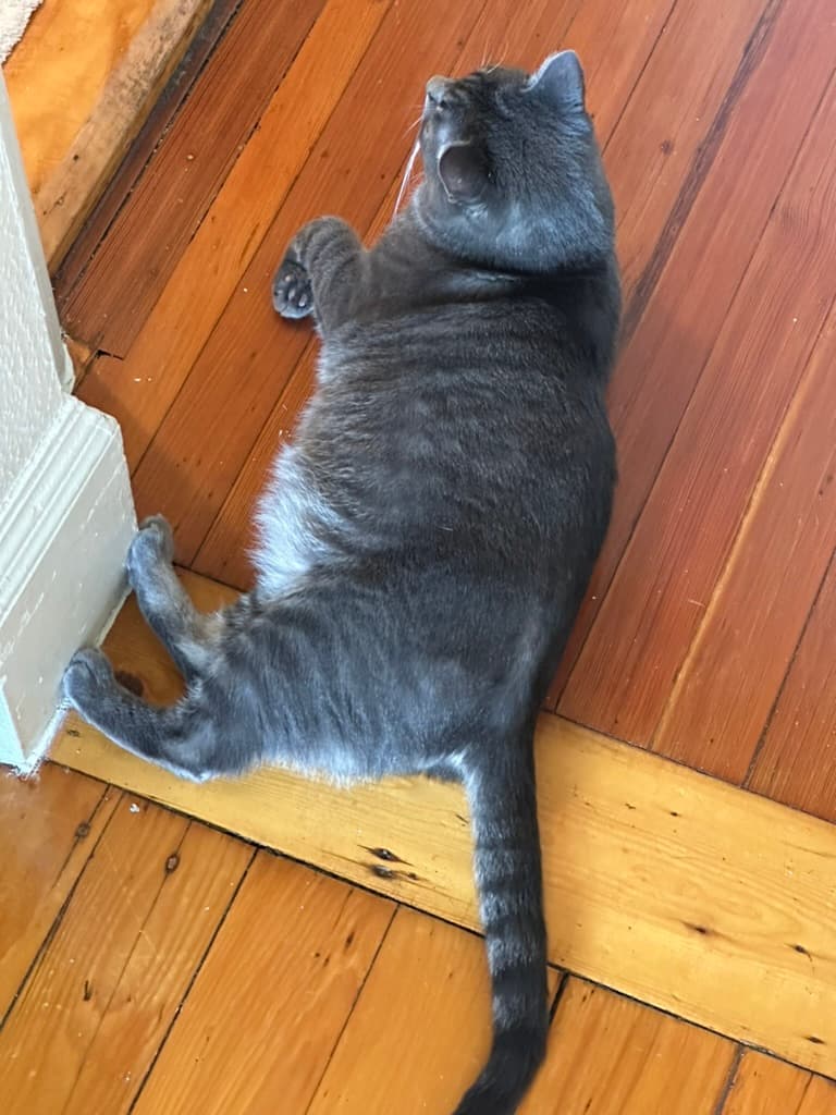 Feet on the wall, a classic