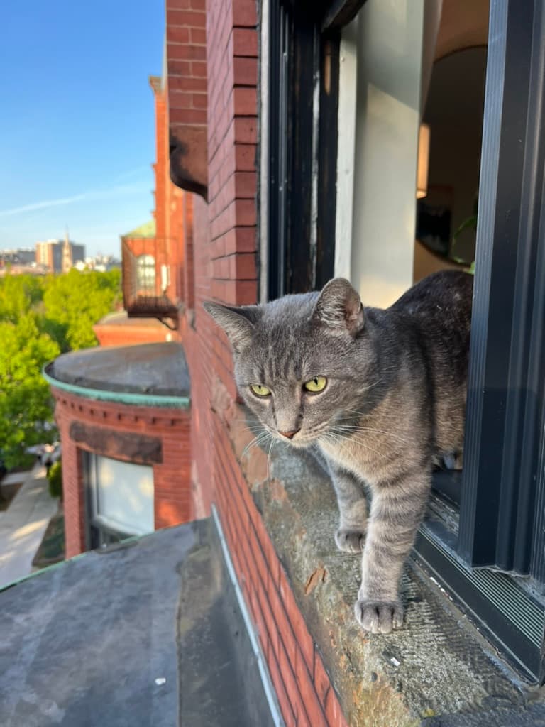 Getting too confident with the window