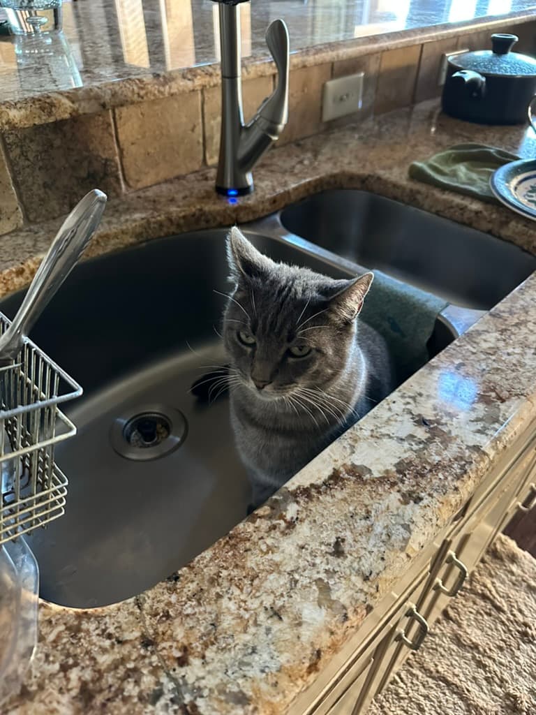 Rouglass in the sink